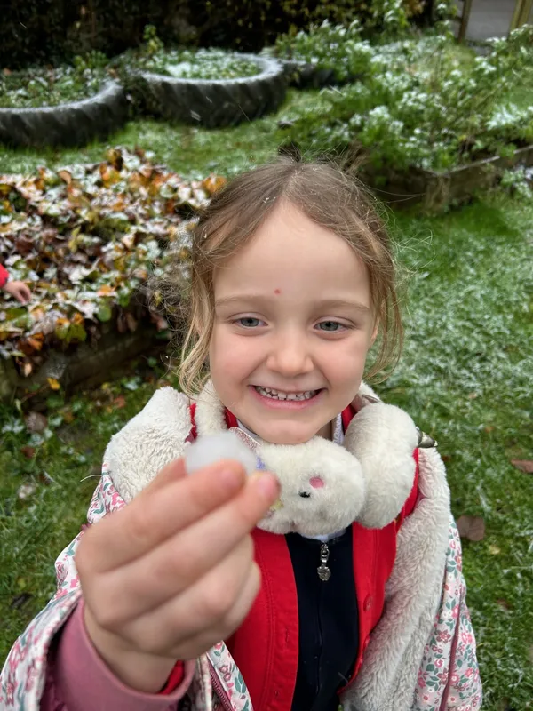 Gallery - created at 2024-11-22 07:00:31 - image 7