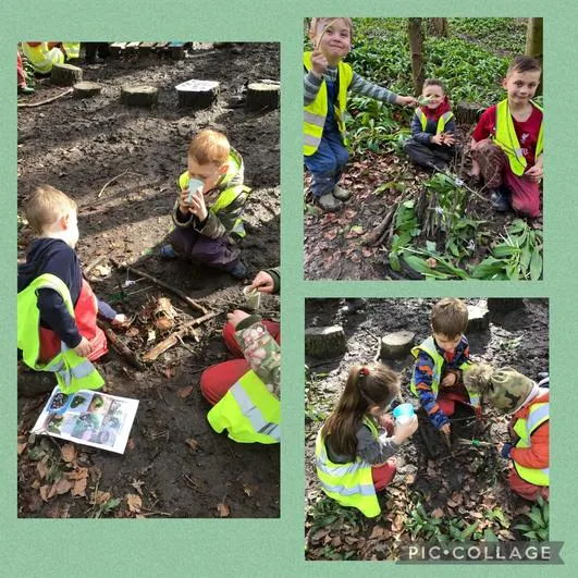 Forest School 42 - image 4 Forest School 42 - image 4