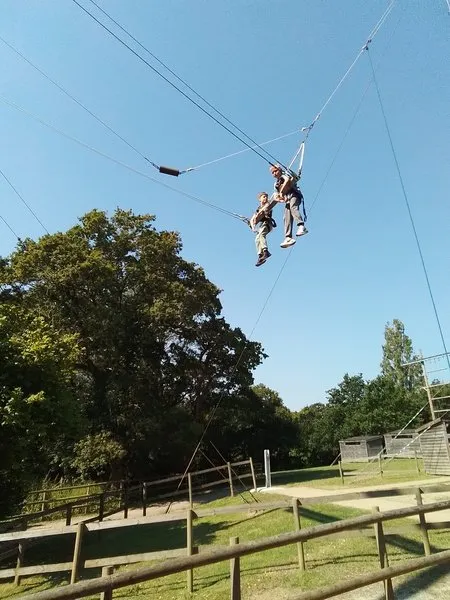 Group 5 - Giant Swing - image 14