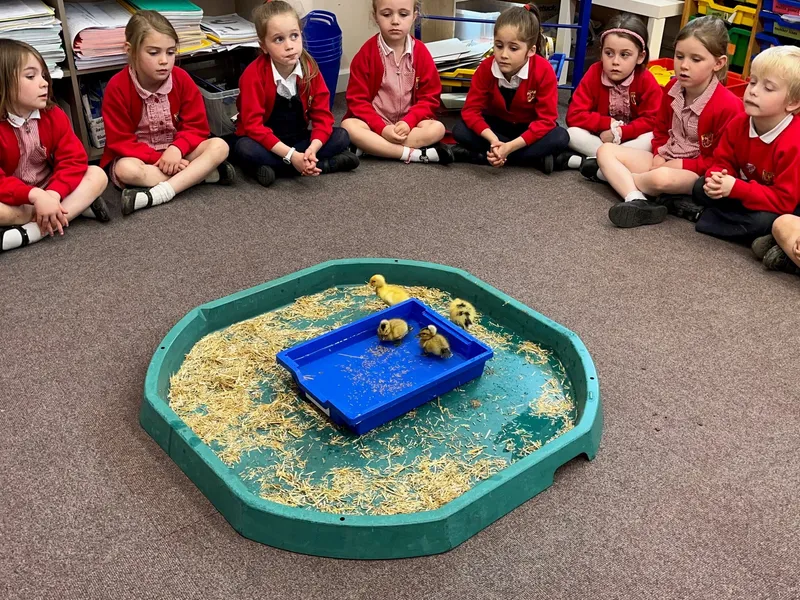 Gallery - created at 2023-05-19 14:08:25 - image 7