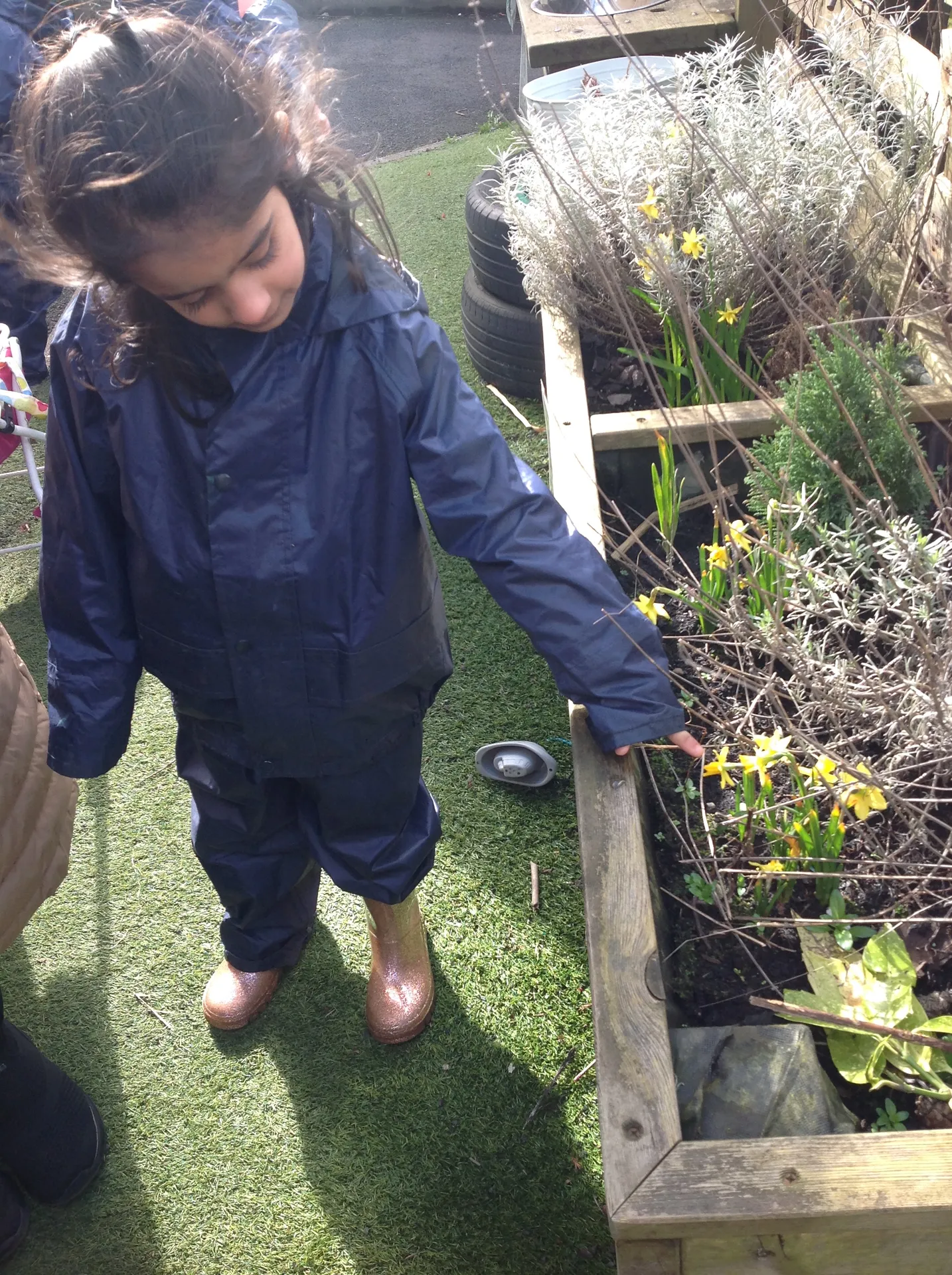 Nursery Spring 2 a - image 1