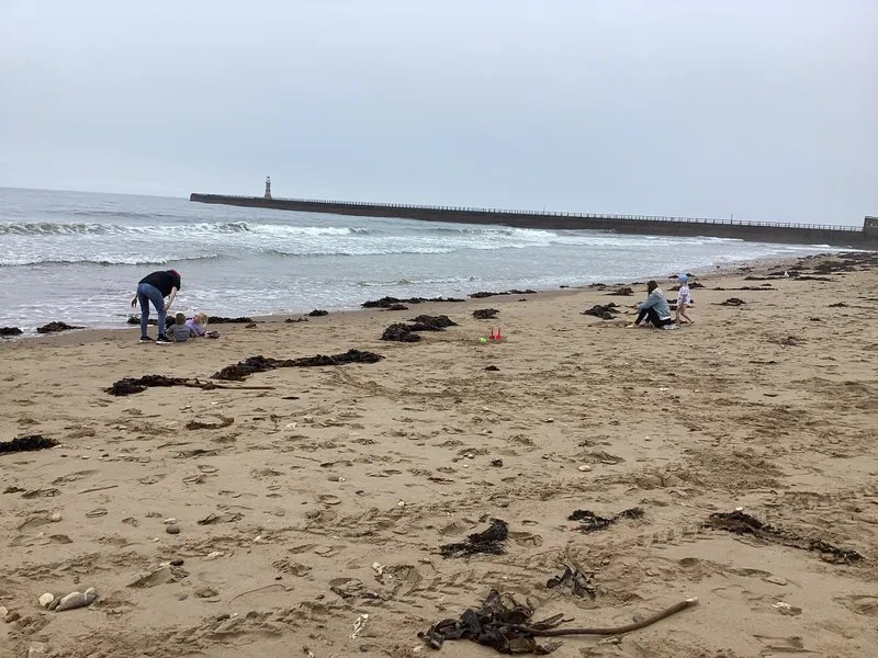 Gallery - created at 2024-07-16 16:31:53 - image 64