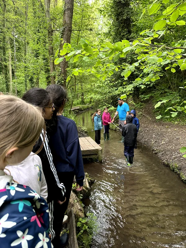 Drews Pond Woods - image 28