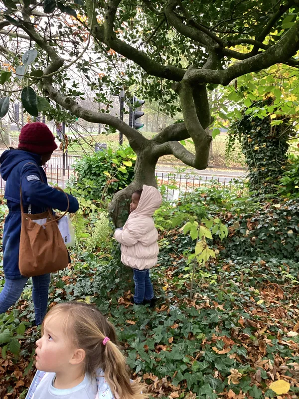 Gallery - created at 2024-11-08 10:10:59 - image 75 Gallery - created at 2024-11-08 10:10:59 - image 75