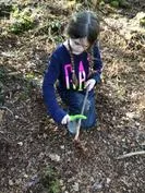 Forest School 135 - image 3 Forest School 135 - image 3