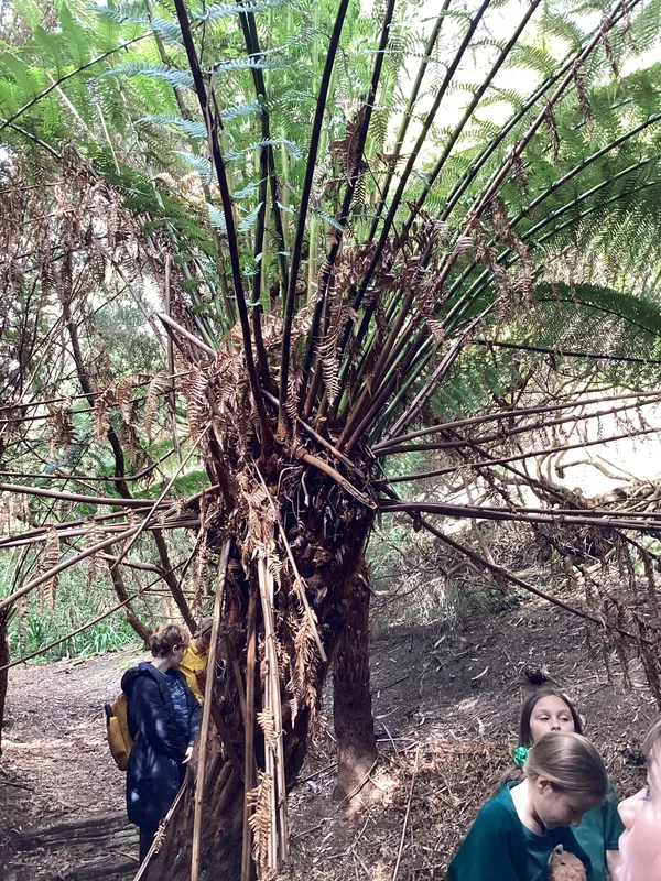 LKS2 Botanical Gardens Trip - image 18