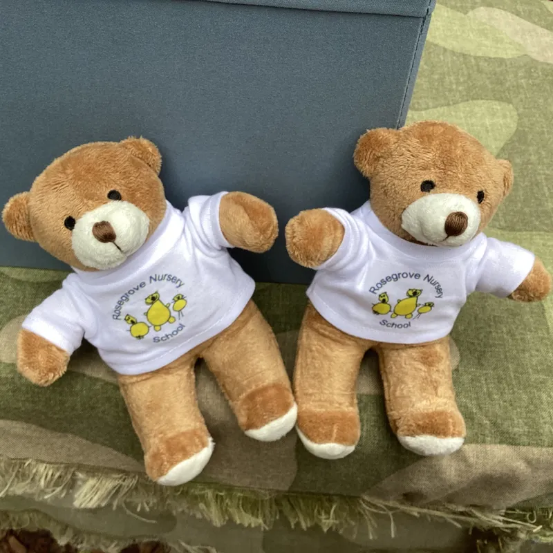 Teddy bears picnic 26 - image 2