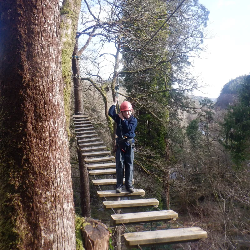 Gallery - created at 2025-02-27 19:57:56 - image 23