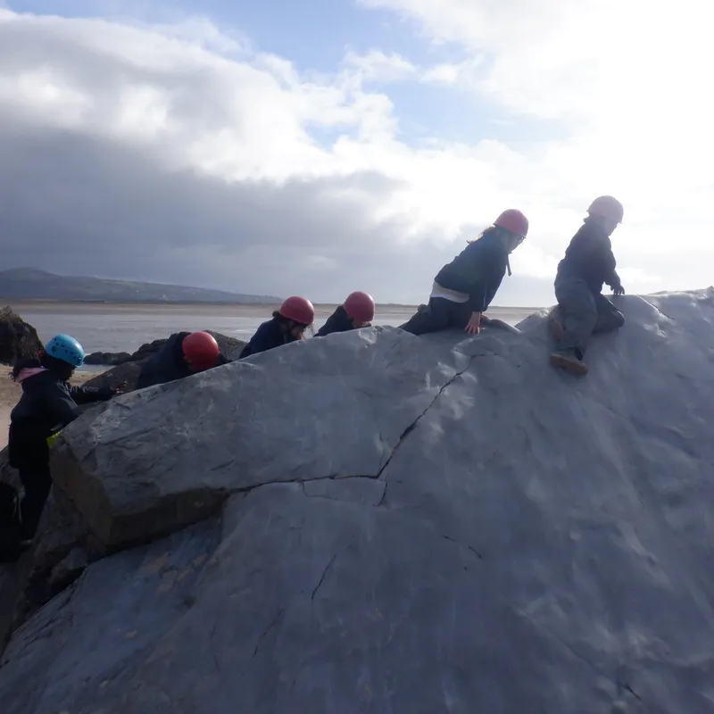 Gallery - created at 2025-02-26 20:19:52 - image 14