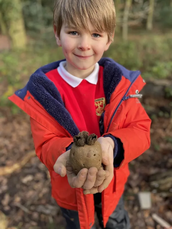 Gallery - created at 2023-01-13 16:15:20 - image 5 Gallery - created at 2023-01-13 16:15:20 - image 5