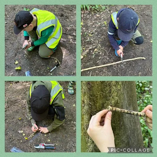 Forest School 38 - image 3 Forest School 38 - image 3