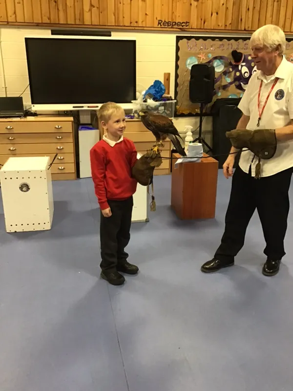 birds of prey year 1 25 - image 21 birds of prey year 1 25 - image 21