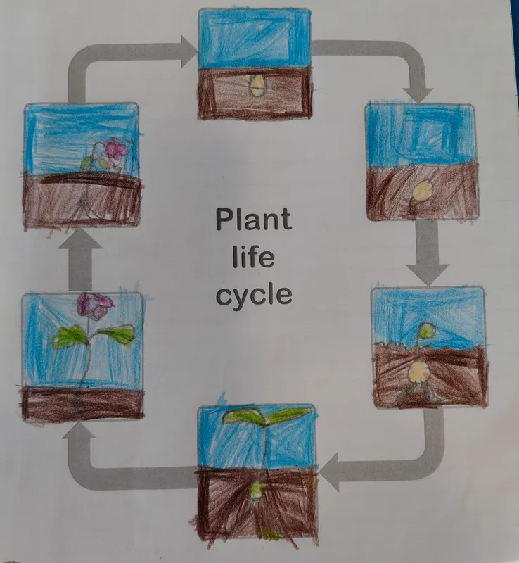 Gallery - created at 2025-05-18 08:27:35 - image 1