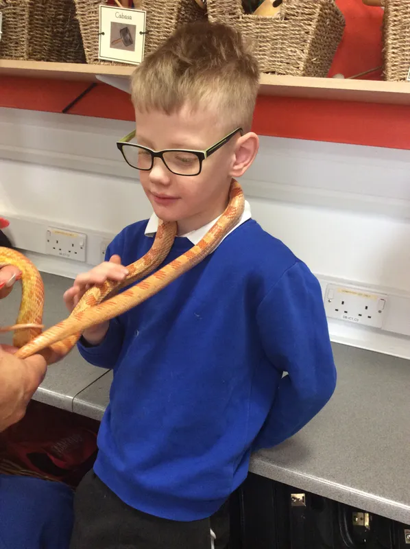 Gallery - created at 2024-03-05 13:52:56 - image 14 Gallery - created at 2024-03-05 13:52:56 - image 14