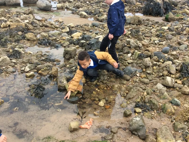 Gallery - created at 2024-05-23 10:29:28 - image 15