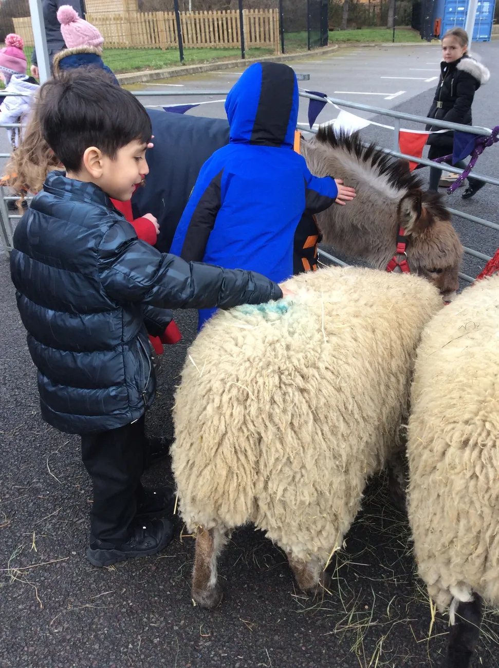 Gallery - created at 2023-03-03 16:33:51 - image 10