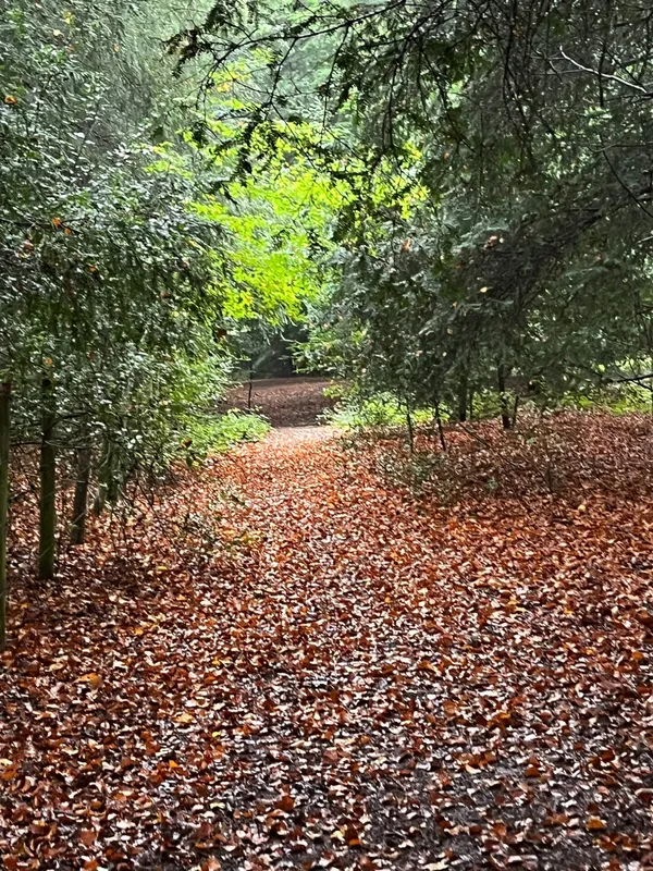 Gallery - created at 2023-10-15 15:16:55 - image 20