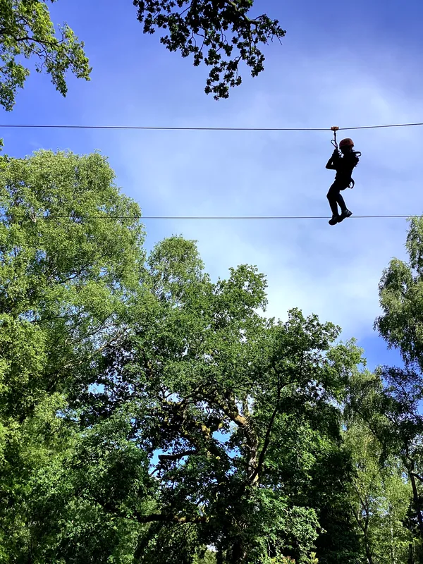 Youlbury 26 - Zipline - image 17
