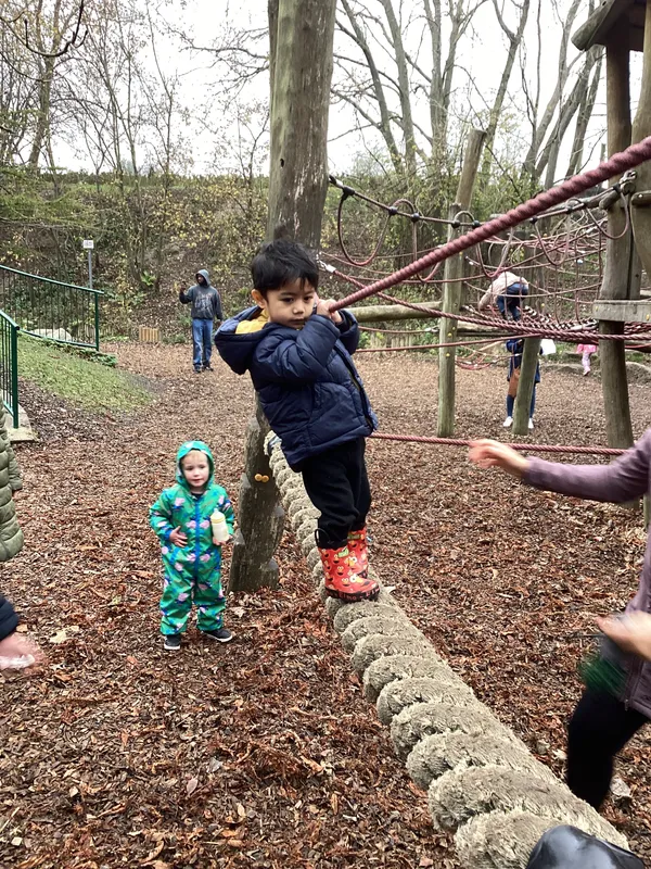 Gallery - created at 2024-11-08 10:10:59 - image 93 Gallery - created at 2024-11-08 10:10:59 - image 93