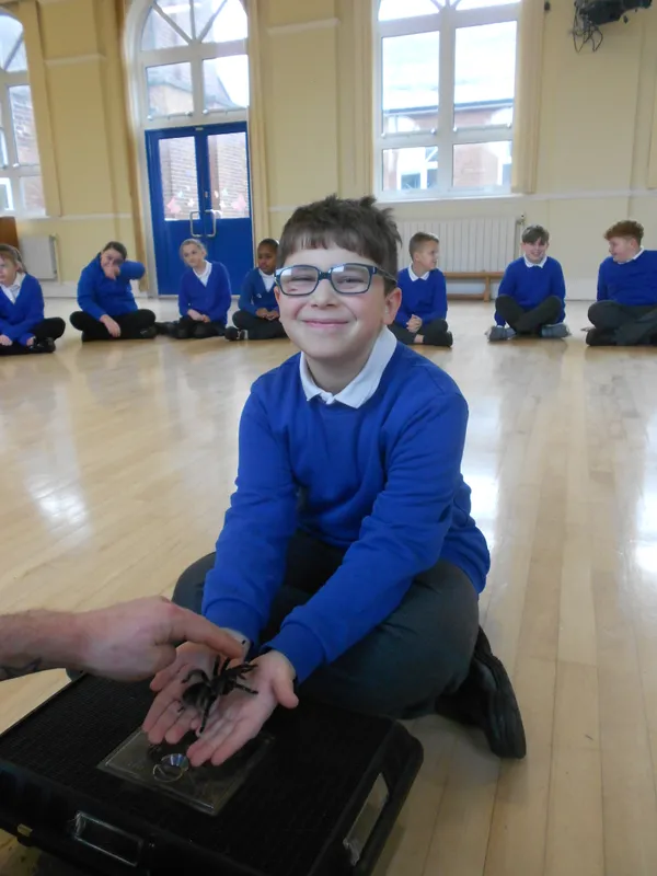 Y6 Reptile Rendezvous - image 83