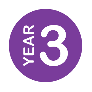 Year 3 Learning Update - Friday 12th December 2025