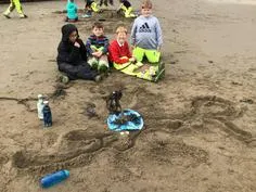 Forest School 124 - image 4 Forest School 124 - image 4