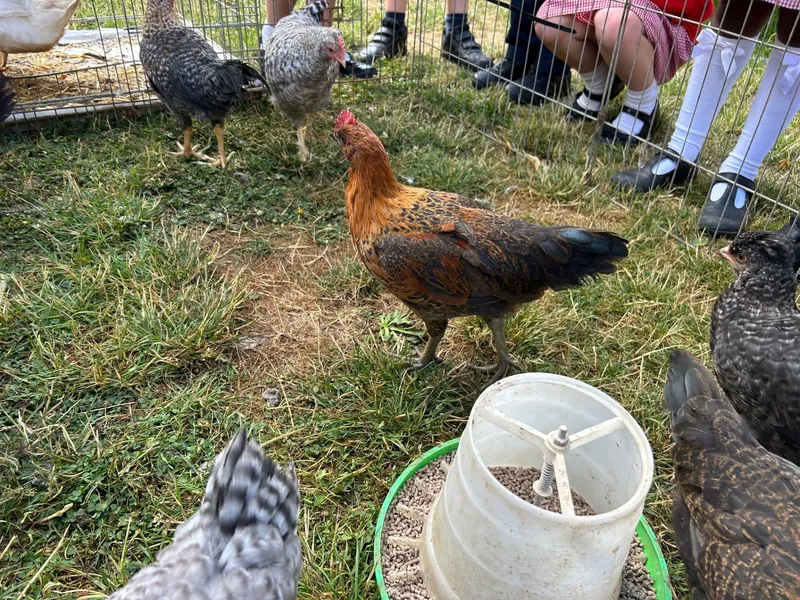 Gallery - created at 2025-07-12 11:34:18 - image 9