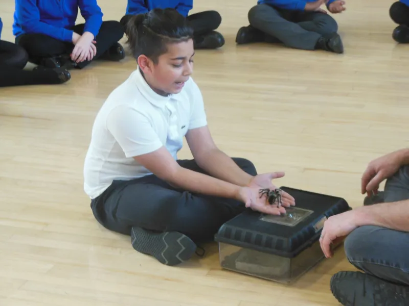 Y6 Reptile Rendezvous - image 16