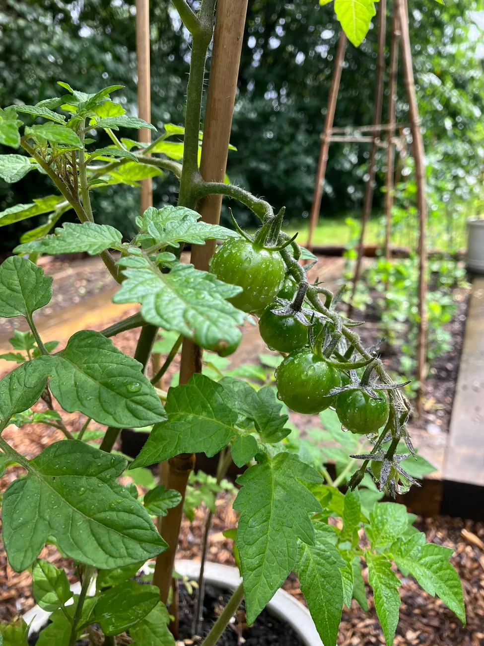 Gallery - created at 2023-09-07 16:46:06 - image 26 Gallery - created at 2023-09-07 16:46:06 - image 26