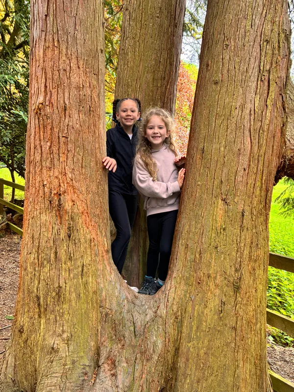 Year 3 Losehill Residential 2026 - image 65