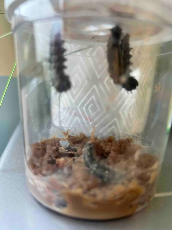 Gallery - created at 2024-06-10 15:20:47 - image 4