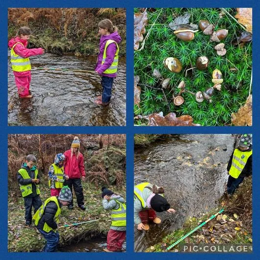 Autumn 2023 - 8th November - Saplings - River Study Trip - image 4 Autumn 2023 - 8th November - Saplings - River Study Trip - image 4