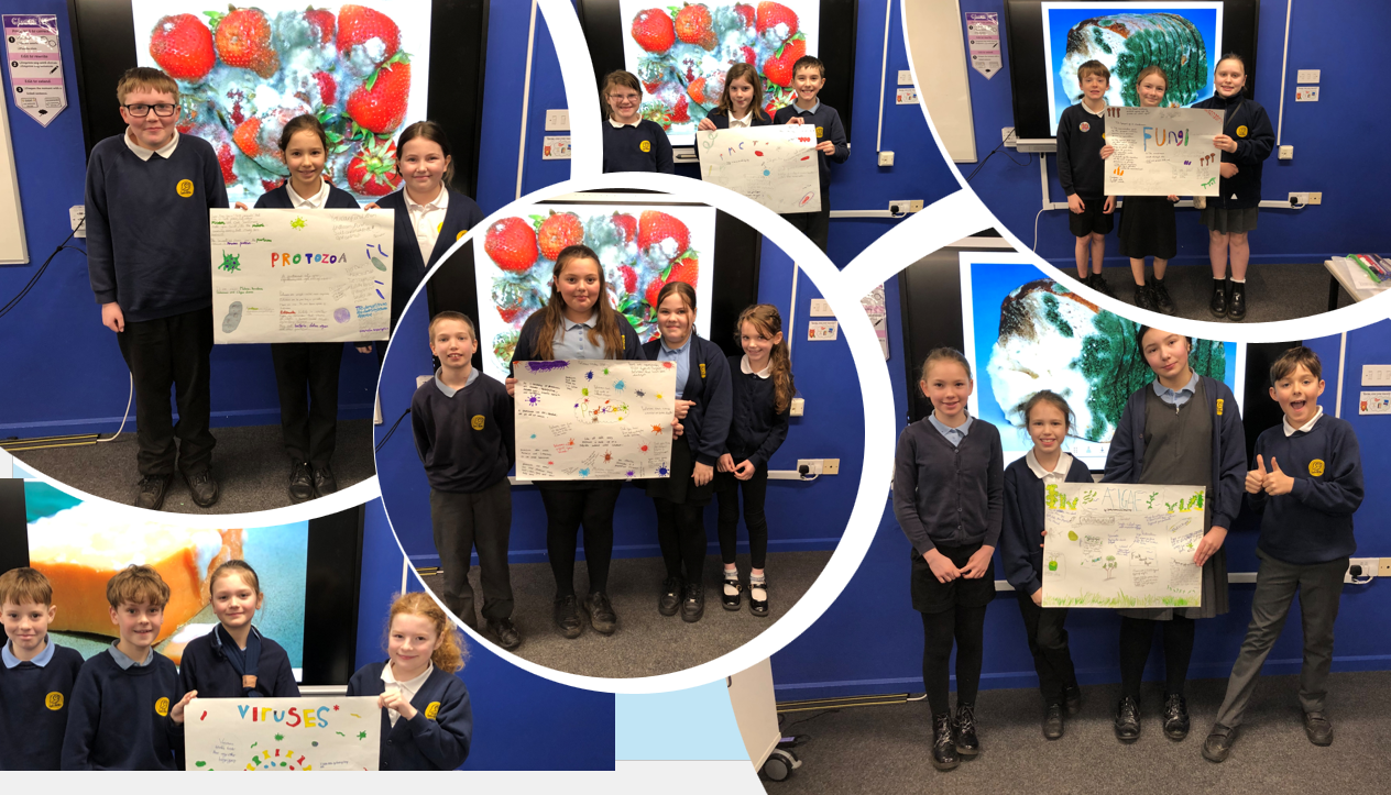 Team Equality Super Scientists