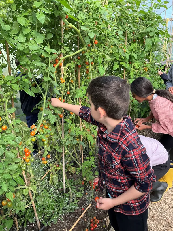 Farm Trip 2025 - image 19