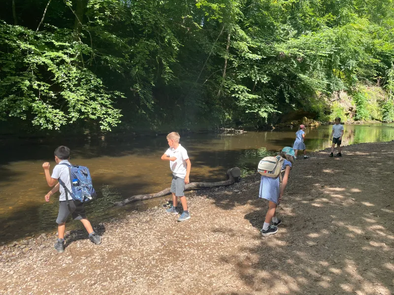 Gallery - created at 2022-07-12 21:08:27 - image 2 Gallery - created at 2022-07-12 21:08:27 - image 2