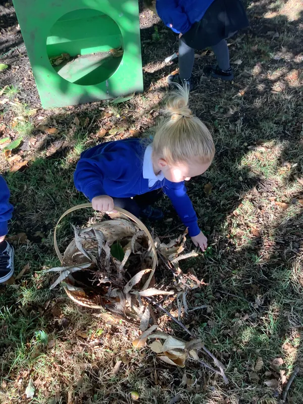 Gallery - created at 2025-10-31 14:49:24 - image 1 Gallery - created at 2025-10-31 14:49:24 - image 1