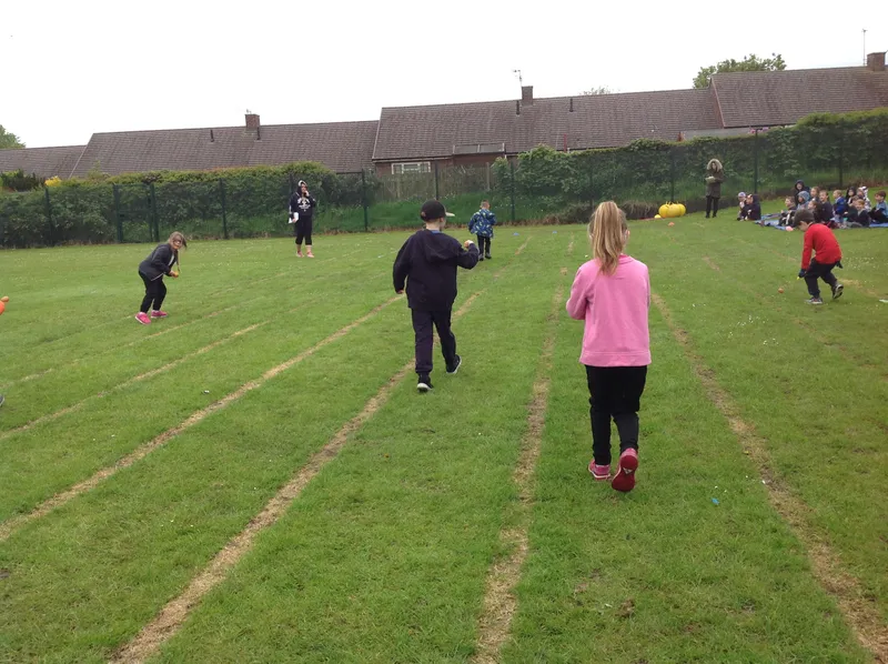 Gallery - created at 2021-06-11 10:23:24 - image 44