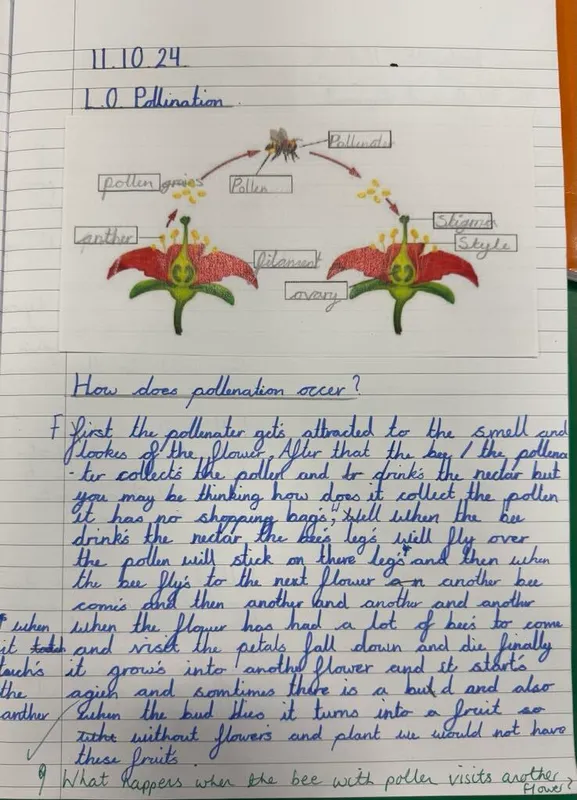 Gallery - created at 2025-05-18 08:50:55 - image 1