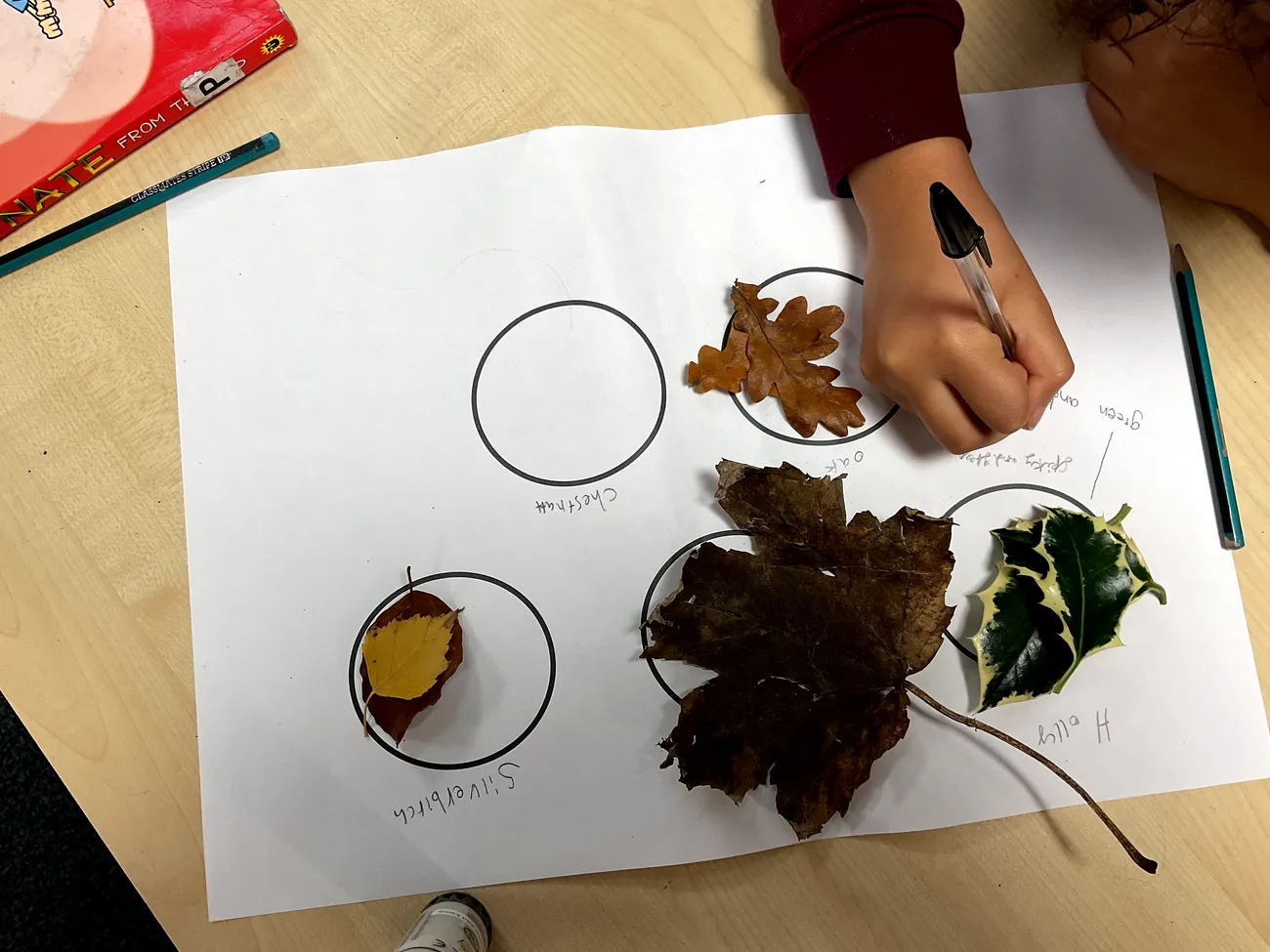 Year 4 Autumn term 2 blog - image 1 Year 4 Autumn term 2 blog - image 1