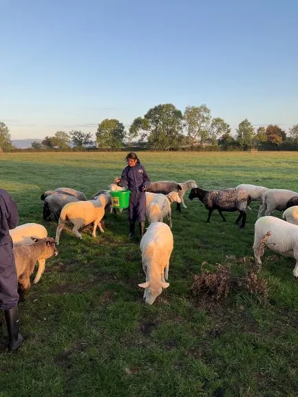 Farm Trip - Gallery 4 - image 5