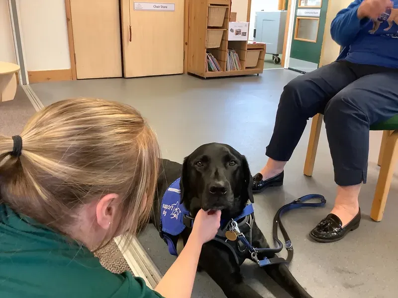 ANS - Support Dog Visit - image 3 ANS - Support Dog Visit - image 3