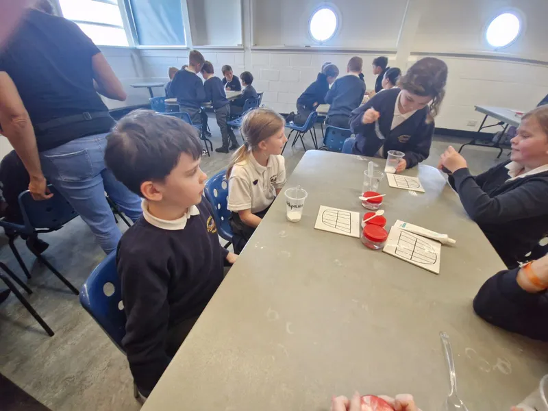 Rigby Catalyst Trip 05.11.25 - image 8