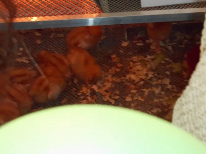 Gallery - created at 2018-07-14 14:56:19 - image 46 Gallery - created at 2018-07-14 14:56:19 - image 46