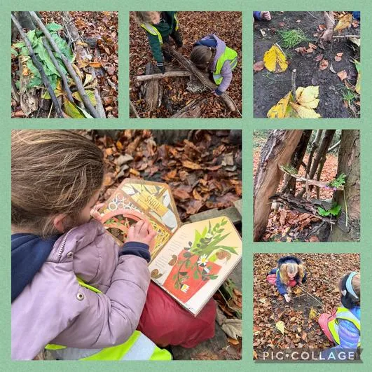 Forest School 25 - image 2 Forest School 25 - image 2