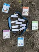 Forest School 72 - image 2 Forest School 72 - image 2