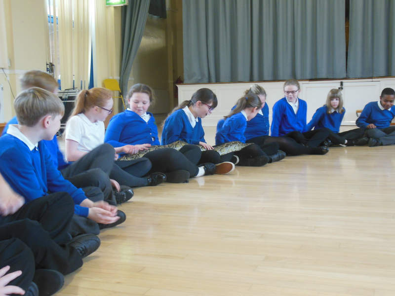 Y6 Reptile Rendezvous