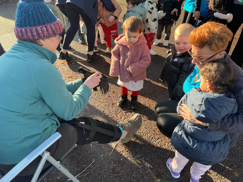 Stella ‘Farm on wheels’ part 2  - image 5