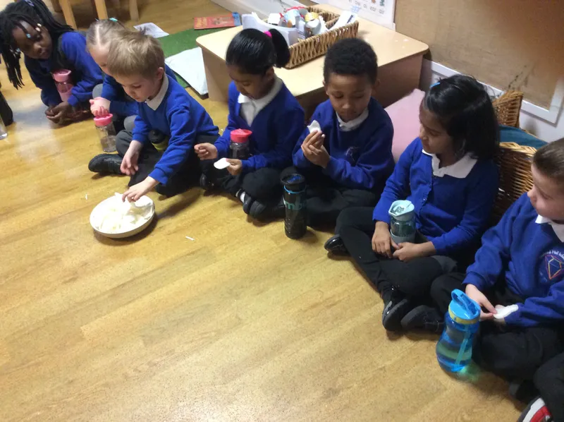 Gallery - created at 2024-03-06 09:58:48 - image 11 Gallery - created at 2024-03-06 09:58:48 - image 11