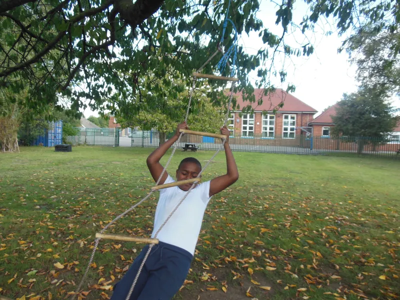 Forest Schools - image 4 Forest Schools - image 4