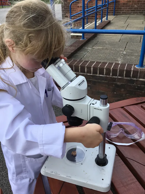 Gallery - created at 2019-09-17 19:22:10 - image 14 Gallery - created at 2019-09-17 19:22:10 - image 14